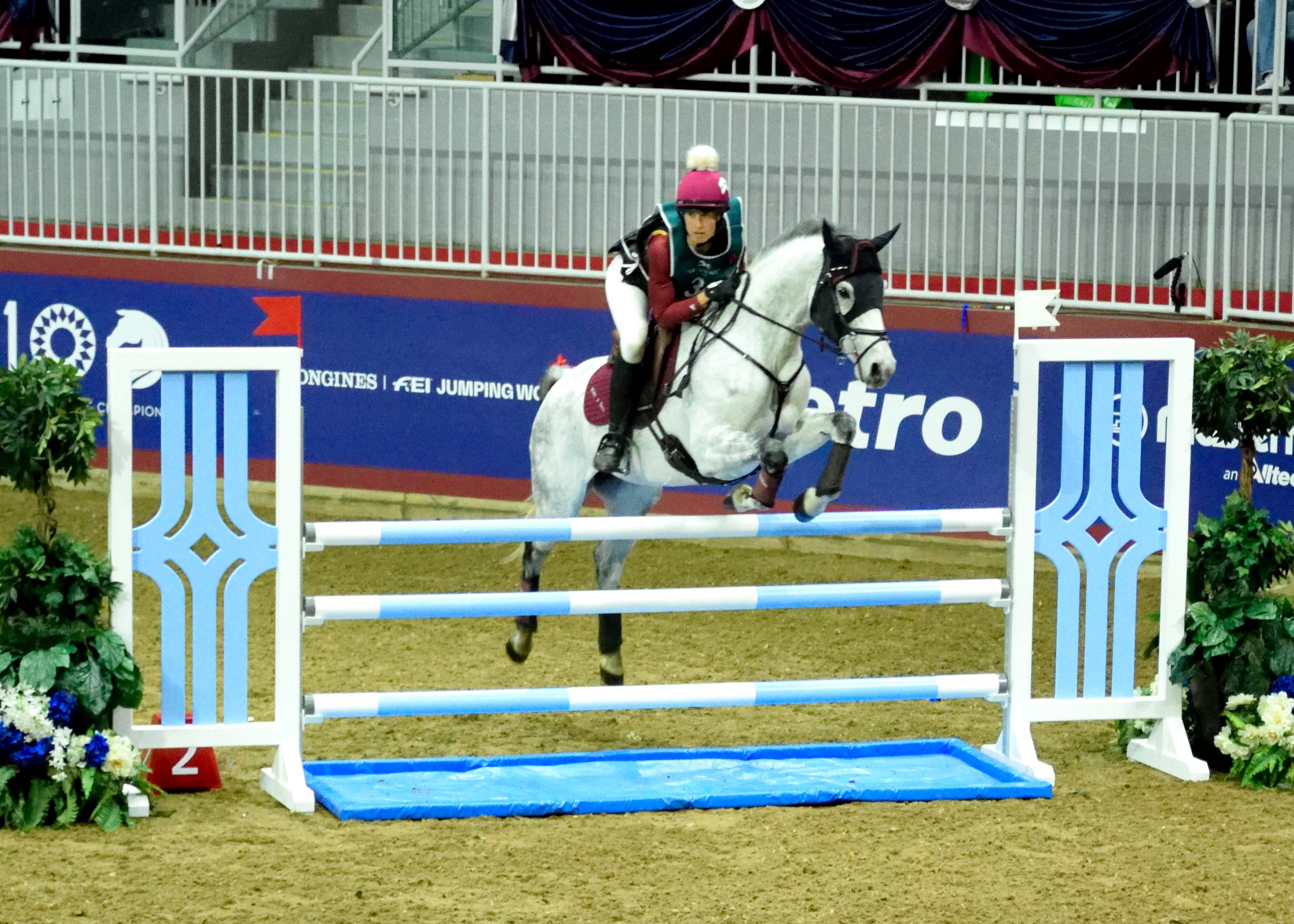 Holly Jacks' Winning Ride in the Indoor Eventing at the 2022 Royal Agricultural Winter Farm - Photo Credit: Ben Radvanyi, Canada's Royal Agricultural Winter Fair